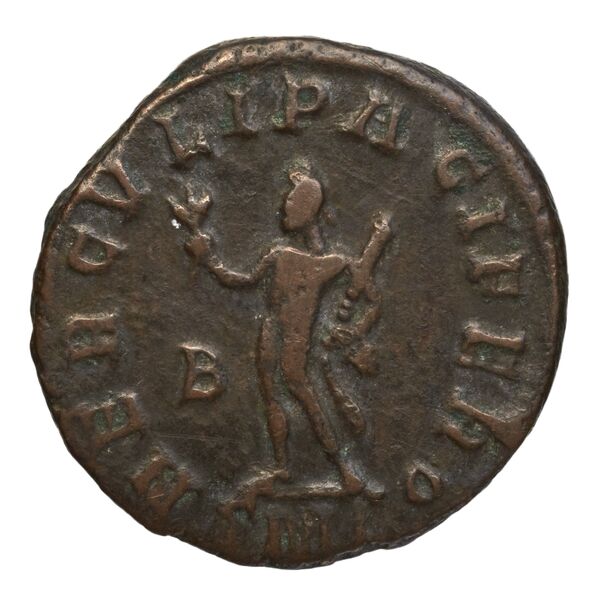 RIC V Diocletian 371, реверс, bnf_ocre