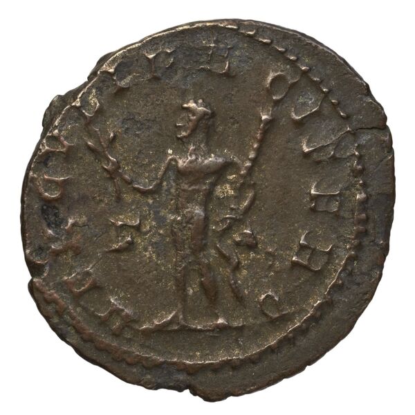 реверс RIC V Diocletian 371