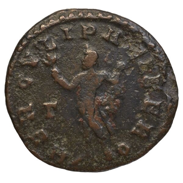 реверс RIC V Diocletian 379