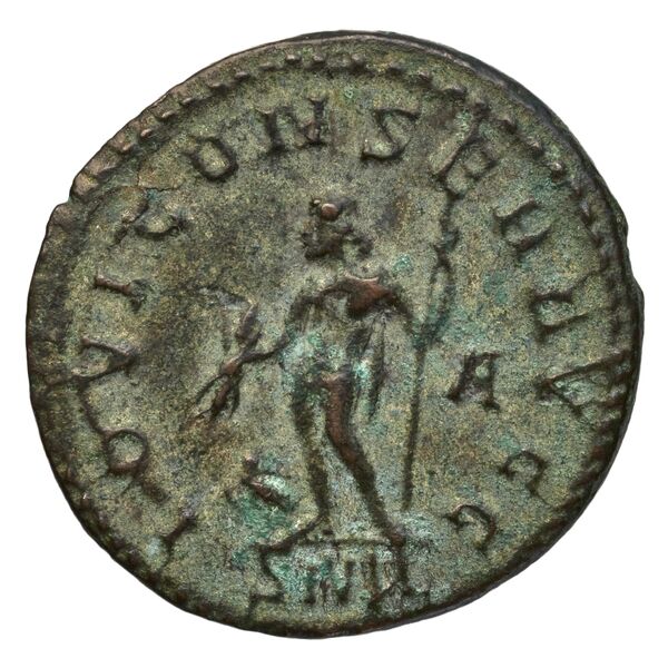 реверс RIC V Diocletian 39