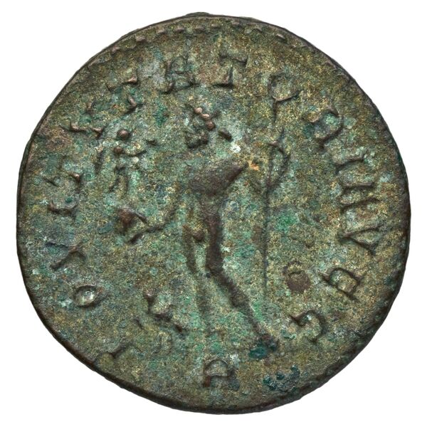реверс RIC V Diocletian 50