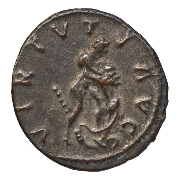 реверс RIC V Diocletian 454