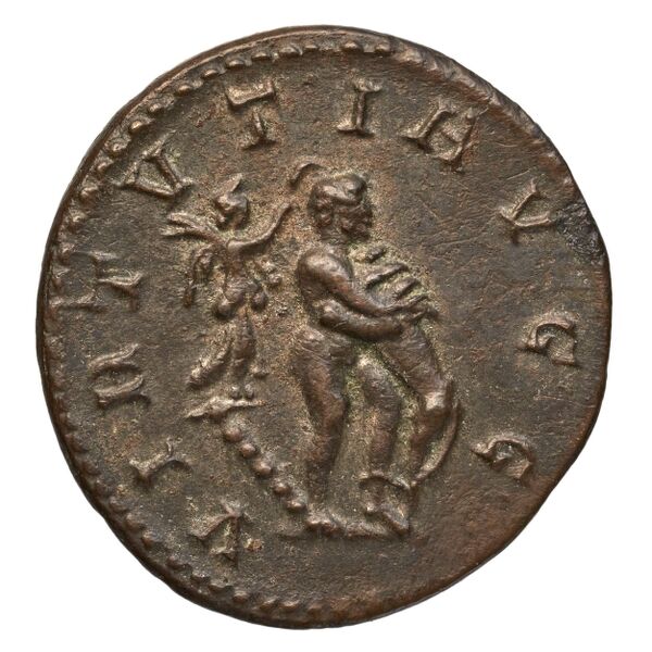 реверс RIC V Diocletian 460