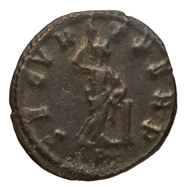 RIC V Diocletian 428, реверс, bnf_ocre