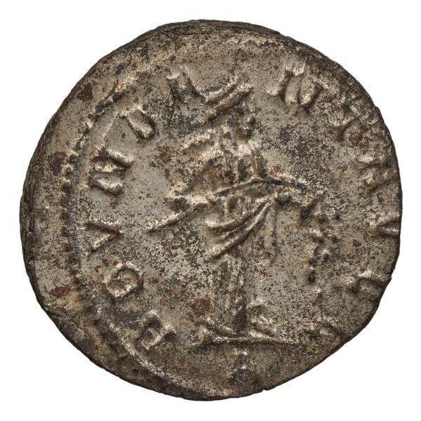 реверс RIC V Diocletian 9