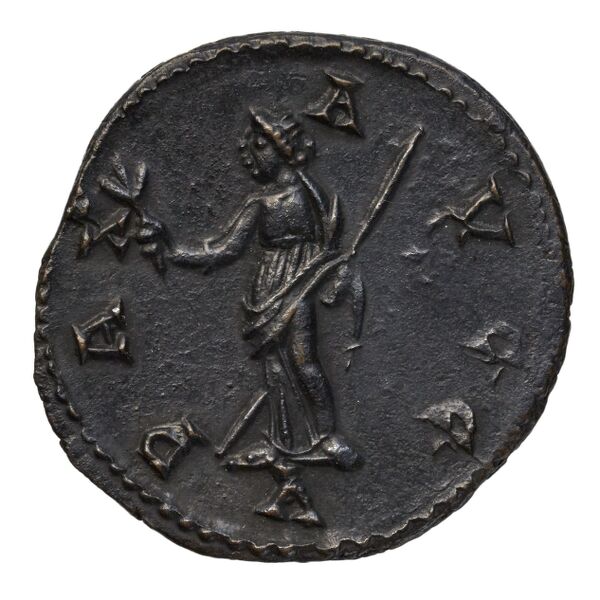 RIC V Diocletian 70, реверс, bnf_ocre