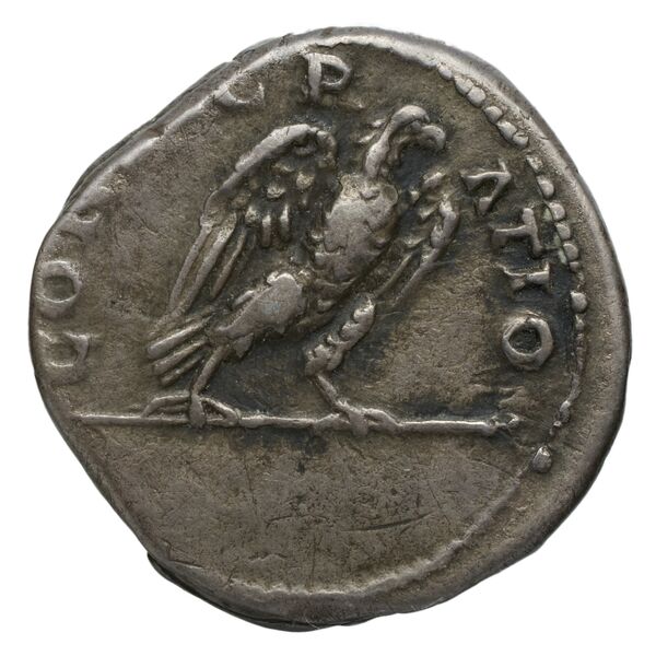 RIC II, Part 3 (second edition) Hadrian 239, реверс, bnf_ocre