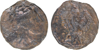 Coins of the Ptolemaic Empire Vol. I, Part II, no. B23, аверс, cealex