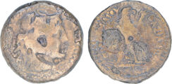 Coins of the Ptolemaic Empire Vol. I, Part II, no. B369, реверс, cealex