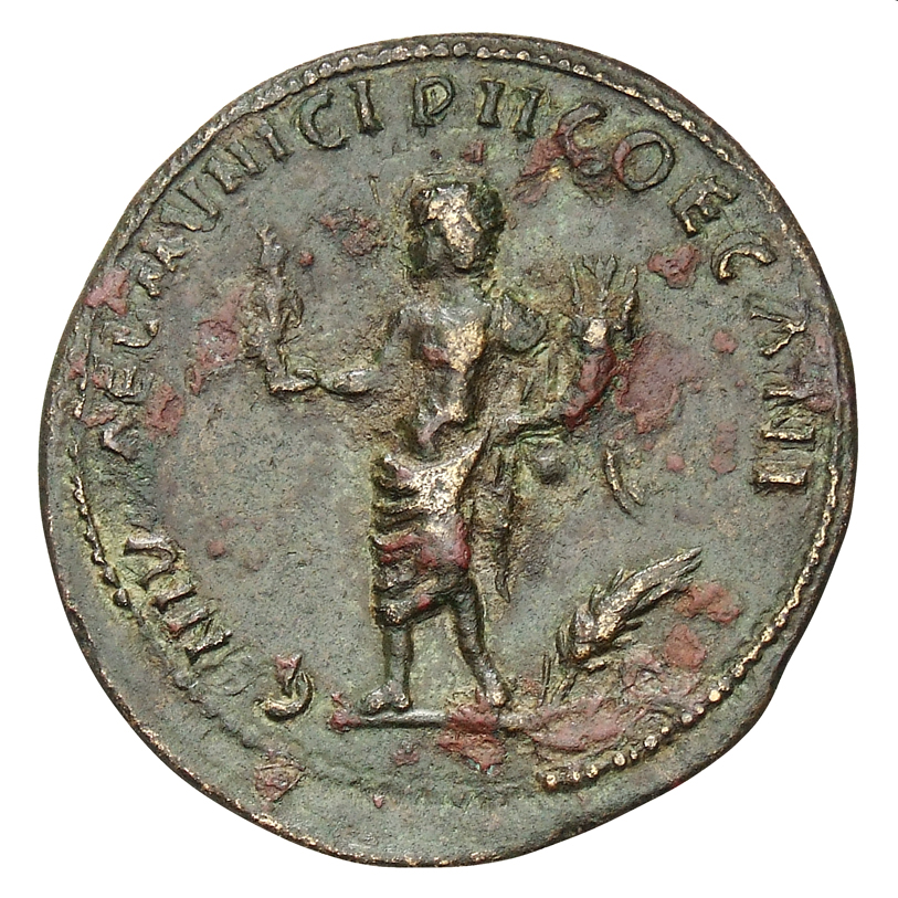 реверс CN Type cn.coela.1_ed.35