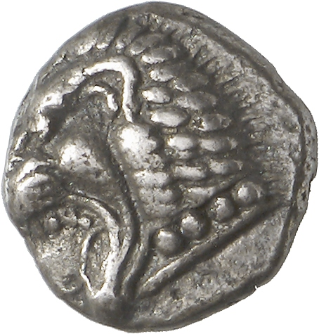 аверс CN Type cn.chersonesus_thrace.1_ed.1