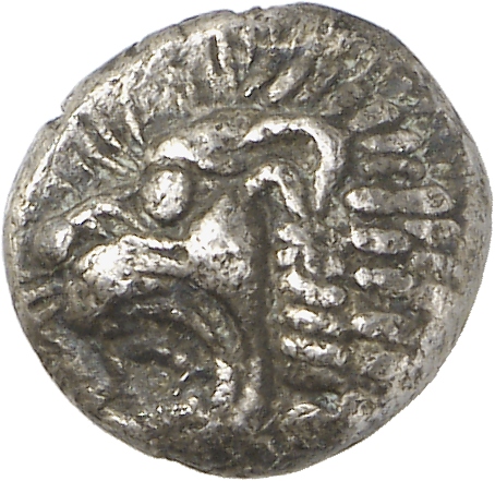CN Type cn.chersonesus_thrace.1_ed.1, аверс, cn-coins