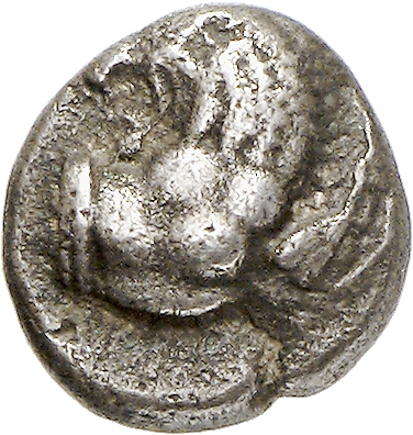CN Type cn.chersonesus_thrace.1_ed.2, аверс, cn-coins