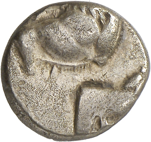 аверс CN Type cn.chersonesus_thrace.1_ed.105