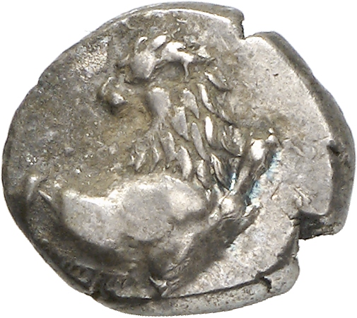 CN Type cn.chersonesus_thrace.1_ed.107, аверс, cn-coins