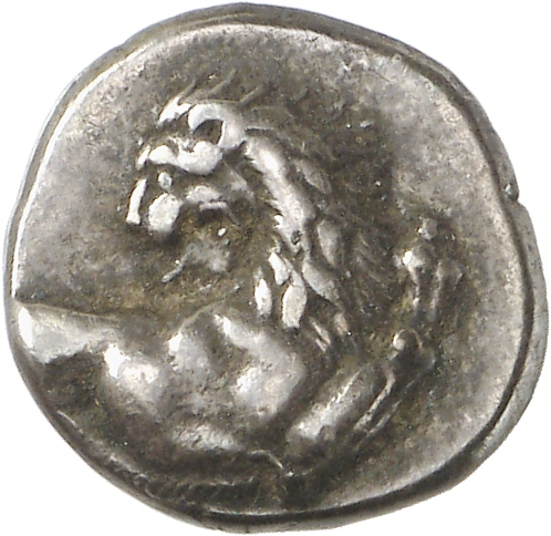 CN Type cn.chersonesus_thrace.1_ed.25, аверс, cn-coins