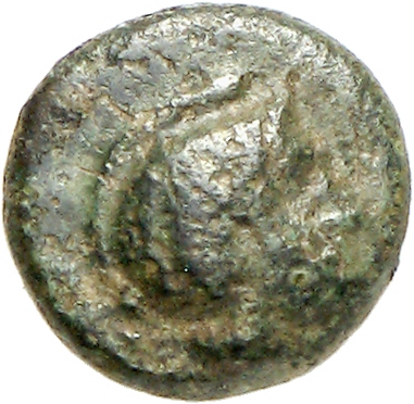 CN Type cn.chersonesus_thrace.1_ed.119, аверс, cn-coins