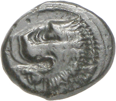 CN Type cn.chersonesus_thrace.1_ed.123, аверс, cn-coins
