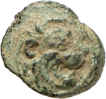 CN Type cn.chersonesus_thrace.1_ed.121, аверс, cn-coins