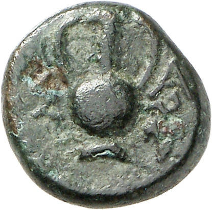 coin rev