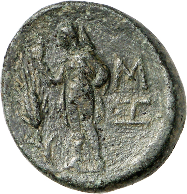 реверс CN Type cn.sestus.1_ed.7