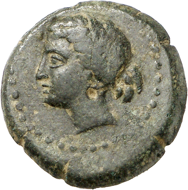 CN Type cn.sestus.1_ed.43, аверс, cn-coins