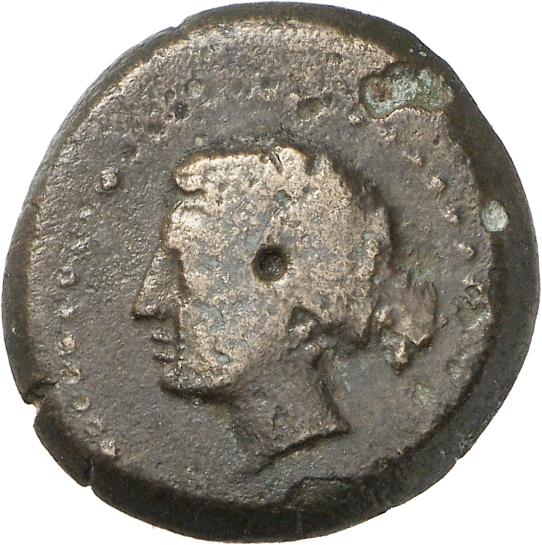 CN Type cn.sestus.1_ed.43, аверс, cn-coins