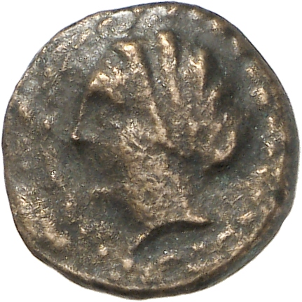 CN Type cn.sestus.1_ed.14, аверс, cn-coins
