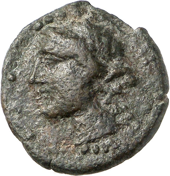CN Type cn.sestus.1_ed.30, аверс, cn-coins