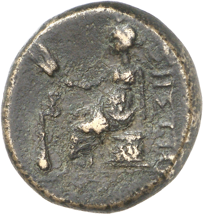 coin rev
