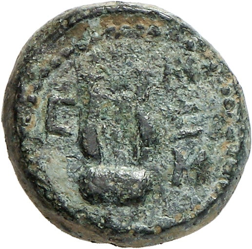 реверс CN Type cn.sestus.1_ed.51