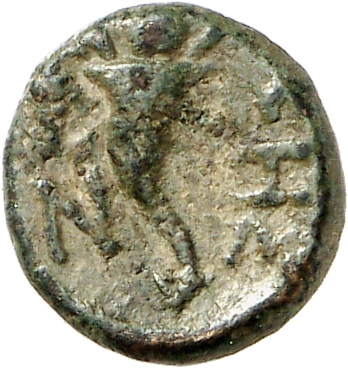 реверс CN Type cn.sestus.1_ed.68