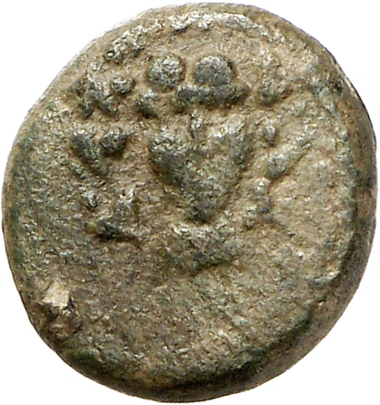 CN Type cn.sestus.1_ed.45, аверс, cn-coins