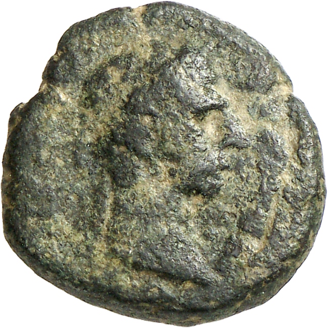 CN Type cn.sestus.1_ed.83, аверс, cn-coins