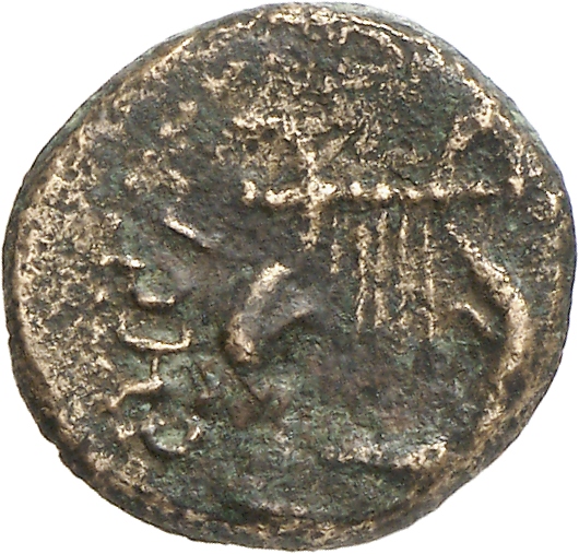 CN Type cn.sestus.1_ed.85, реверс, cn-coins