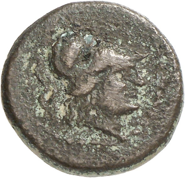 CN Type cn.elaeus.1_ed.10, аверс, cn-coins