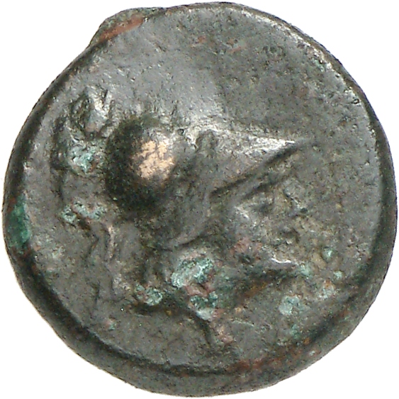 CN Type cn.elaeus.1_ed.10, аверс, cn-coins