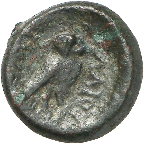 CN Type cn.elaeus.1_ed.10, реверс, cn-coins