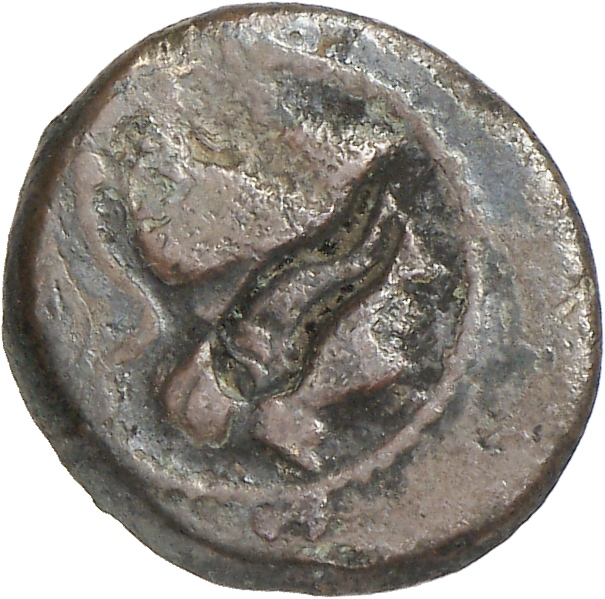 obverse CN Type cn.elaeus.1_ed.10