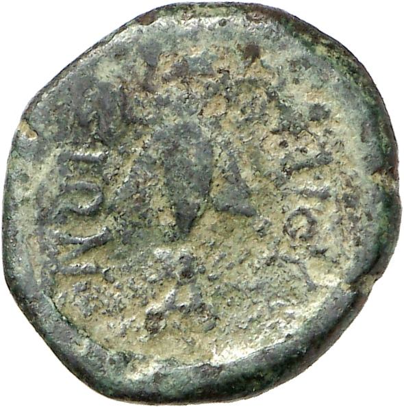 реверс CN Type cn.elaeus.1_ed.8