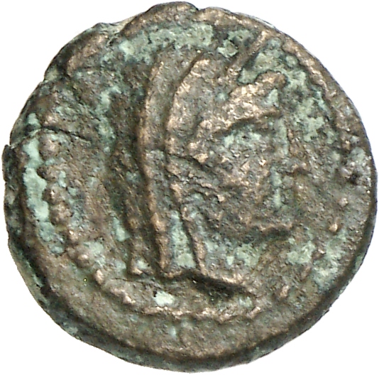 CN Type cn.elaeus.1_ed.16, аверс, cn-coins