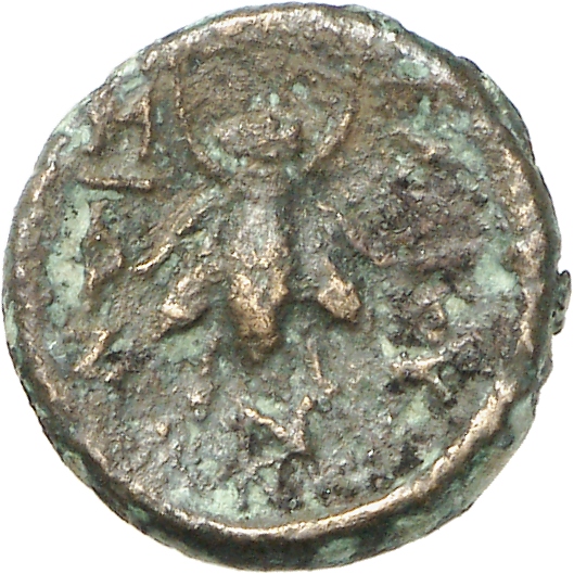 CN Type cn.elaeus.1_ed.16, реверс, cn-coins