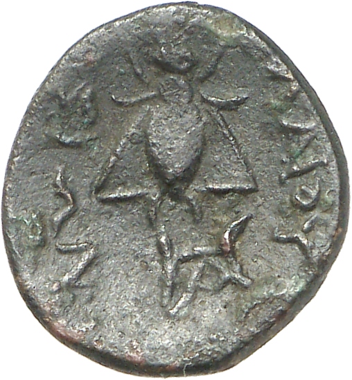 reverse CN Type cn.elaeus.1_ed.16