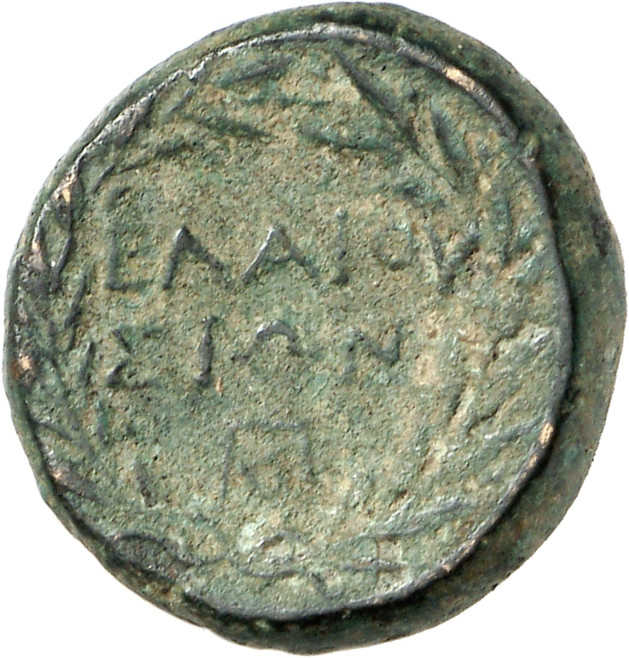 reverse CN Type cn.elaeus.1_ed.2