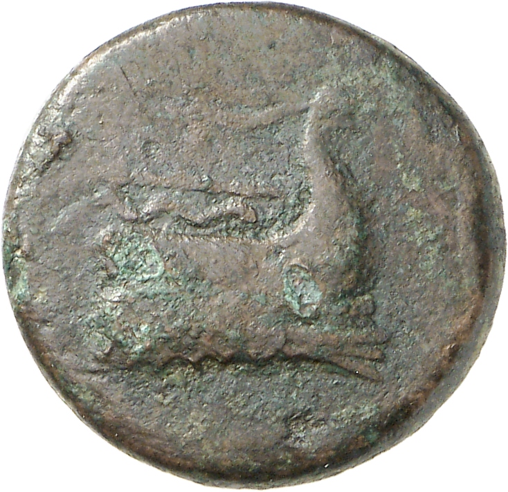 аверс CN Type cn.elaeus.1_ed.6