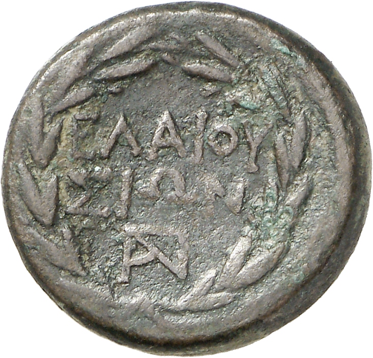 реверс CN Type cn.elaeus.1_ed.6