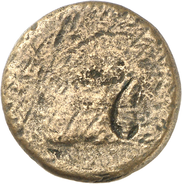 obverse CN Type cn.elaeus.1_ed.3