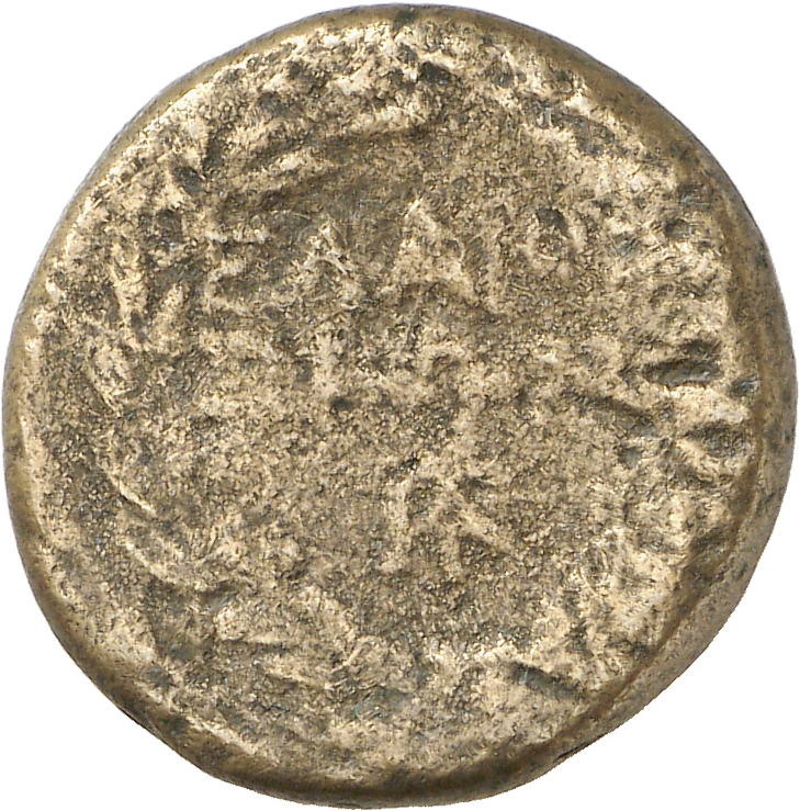 reverse CN Type cn.elaeus.1_ed.3