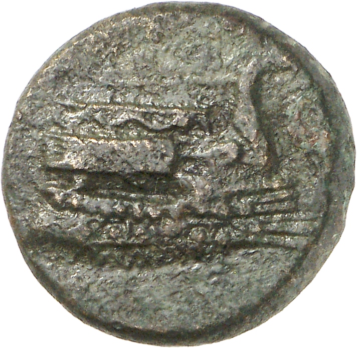 аверс CN Type cn.elaeus.1_ed.4