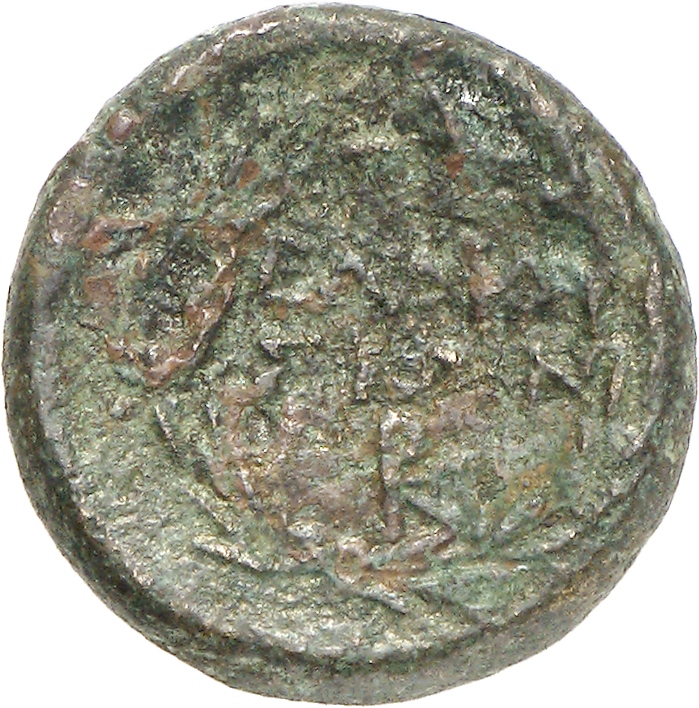 реверс CN Type cn.elaeus.1_ed.4